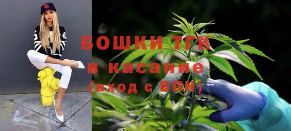 винт Инсар