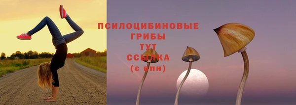 дмт Зеленокумск