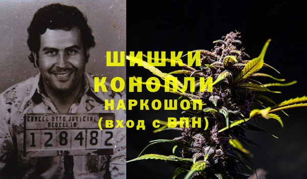 винт Инсар