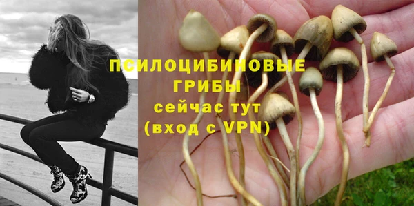молекула духа Иннополис
