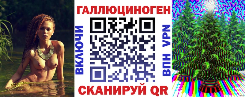 Купить Гудермес Псилоцибиновые грибы мицелий