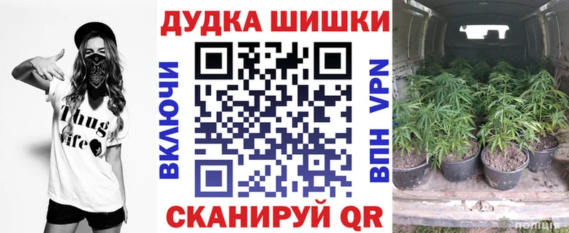 Шишки марихуана семена Гудермес